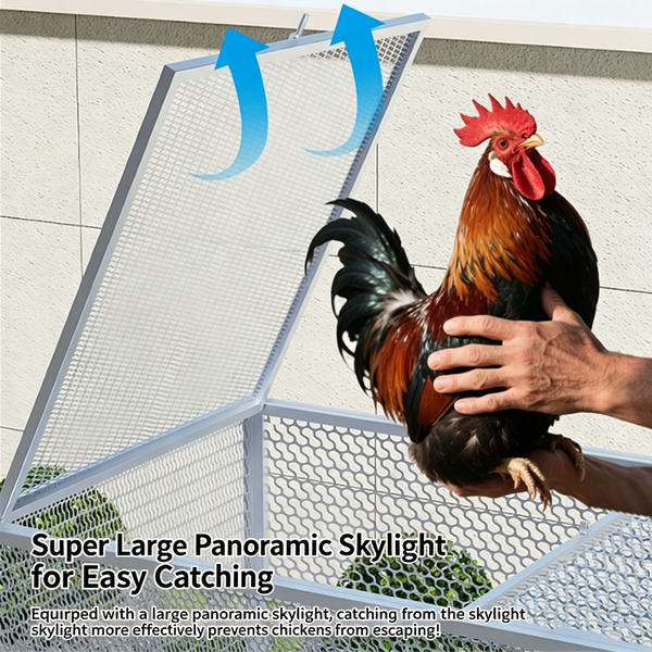 Poultry Cage Chicken Coop With Trough For Farming Breeding And Poultry Raising