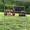 Chicken Perch Chicken Climbing Frame Cat Climbing Frame Chicken Roosting Ladder