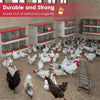 6 Hole Chicken Hen Coop Hutch Inside Outside Roll Away Lay Egg Nesting Box Metal