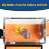 Ant Farm with External Water Tower and Garbage Area Soil Queen Breeding Area AU