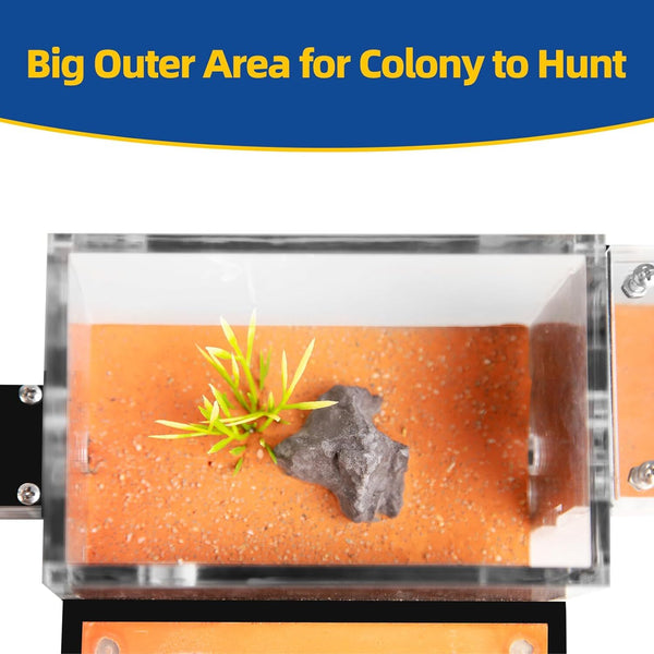 Ant Farm with External Water Tower and Garbage Area Soil Queen Breeding Area AU