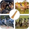 100pcs Chicken Plucker Fingers Rubber Plucking Fingers Flexible Replacement