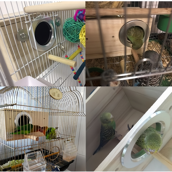 Oversized Bird Nest Breeding Box Parakeet Budgie Cockatiel Nesting Window Wooden