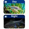 4.3" LCD Monitor Fish Finder Portable  Fishing Camera W/ 8 LED IR For Lake Sea