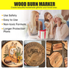 Pyrography Wood Burning Kit Wood Burner Tool Dual Pen 60W Adjustable Temperature