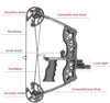 40lbs Hunting Compound Bow Arrow Archery Target Shooting With Archery Sights