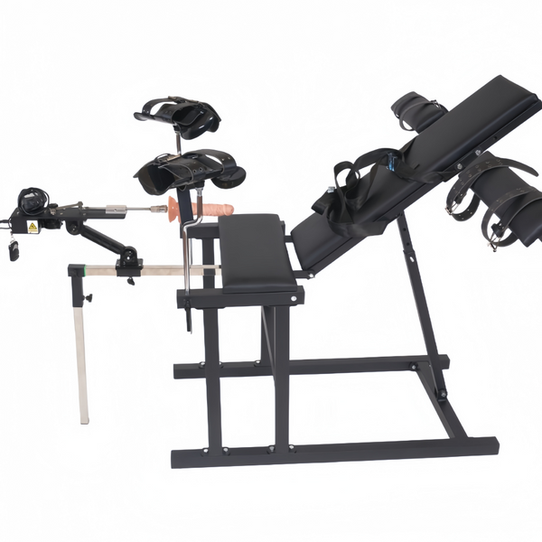 Bondage Training Chair Sex Machine Toy Sex Furniture Steel Frame Restraint Tool