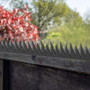 6x Metel Bird Spikes Deterrent Anti Cat Human Spiked Fence Mouse Pest Control AU