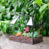 Glass Terrarium House Planter – Succulent Plant Glass Greenhouse with Lid AU