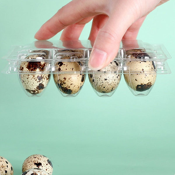 100 Pcs Quail Egg Cartons Square Dozen Egg Boxes 3x4 Holds 12 Count Thickened AU