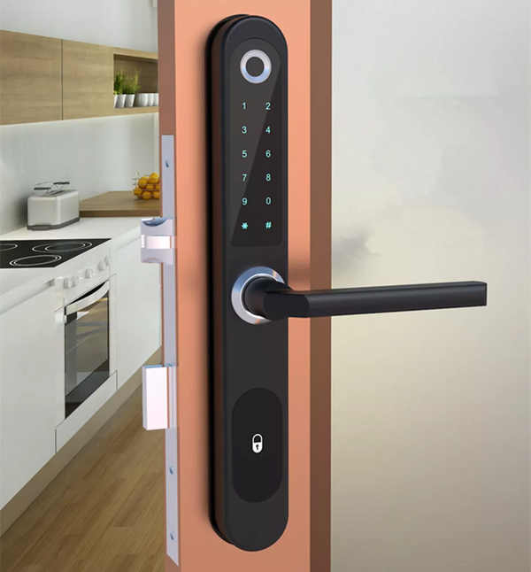Fingerprint Door Lock Tuya APP Control Smart Slim Lock Electronic Door Lock AU