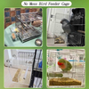 Acrylic Parrot Feeder Parrots Perch Stand Cage Automatic Bird Feeder Transparent