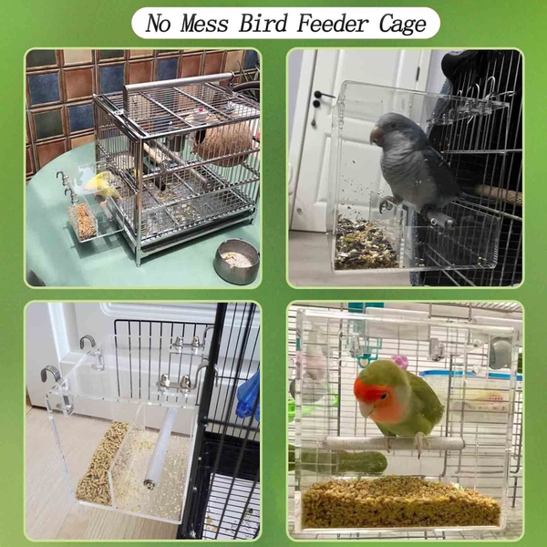 Acrylic Parrot Feeder Parrots Perch Stand Cage Automatic Bird Feeder Transparent