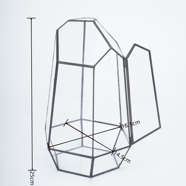 Glass Geometric Plant Terrarium Succulent & Air Planter Indoor Tabletop Decor