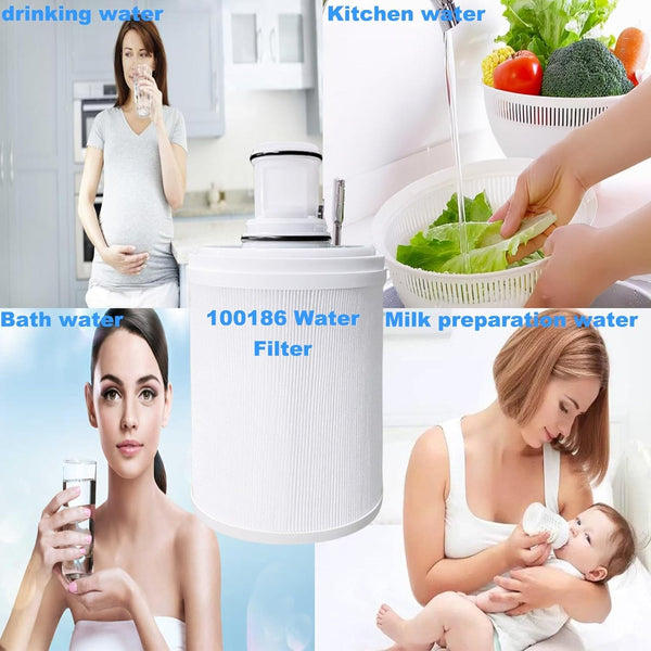 100186 Water Filter with Pre-Filter Compatible with Amway eSpring Water Filter