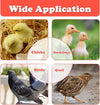 LARGE 66W Chick Brooder Heating Plate Adjust Poultry Warmer Chicken Coop Brooder