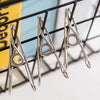 60pcs Stainless Steel Clothes Pegs Hanging Windproof Wire Clips Photos Clips AU