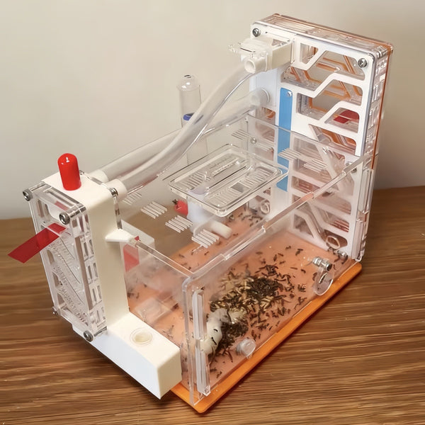 Ant Farm DIY Ant Nest 3D Acrylic ANT Workshop Educational Ant House For Gift AU