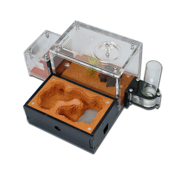 Ant Farm with External Water Tower and Garbage Area Soil Queen Breeding Area AU