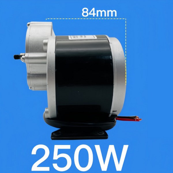 12V 250W Reversible Geared Motor with 9 Tooth Bicycle Speed Reduction Motor
