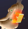 3D Massager Cushion Full Body Massage Mat Heating Vibration Kneading Shiatsu