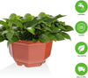 24PCS Plastic Hanging Plant Pots 17cm Hanging Plant Containers Hanging Planters