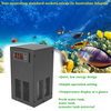 Aquarium Chiller 20L Water Cooler Fish Tank Chiller for Jellyfish Coral Shrimp