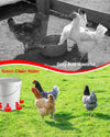 Automatic Chicken Feed Bucket with 12 Feeders Ports 10L Capacity Poultry Feeder