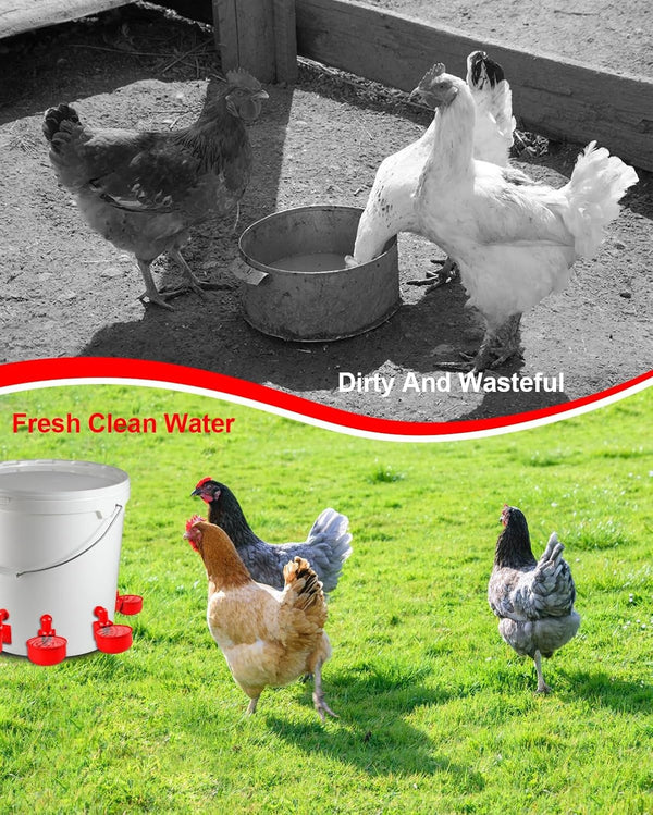 Automatic Chicken Feed Bucket with 12 Feeders Ports 10L Capacity Poultry Feeder