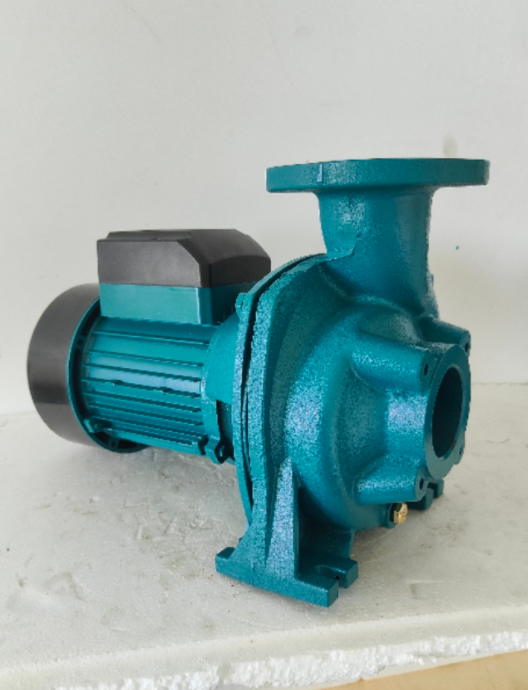 220V Centrifugal Water Transfer Pump Large Flow Max 900 L/min 1.1HP Max Head 12m