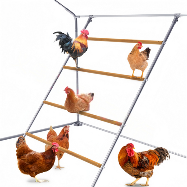 Chicken Perch Chicken Climbing Frame Cat Climbing Frame Chicken Roosting Ladder