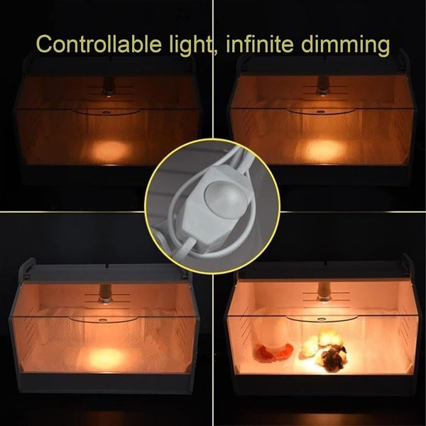 80CM Chick Brooder Box Rearing Poultry Feeding Box Keep Warm Up to 35 Chicks