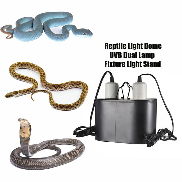 Reptile Lamp Double Dome UVB Light Head For Turtle Lizard with Separate Switches