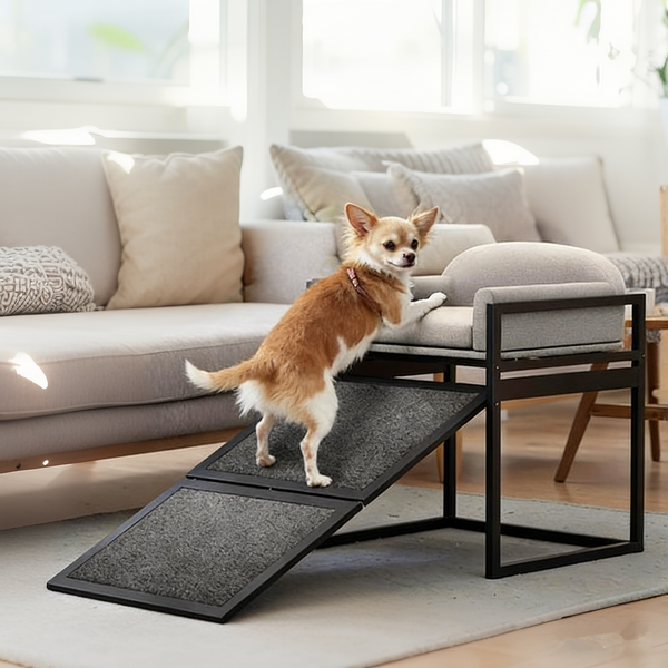 Pet Bunk Bed Sofa with Foldable Ramp Dog/Cat Window Perch With Stair Light Beige