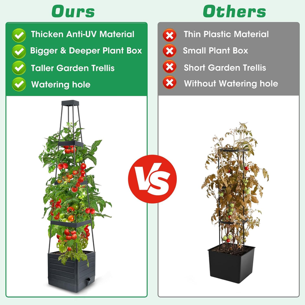 2 Packs Raised Garden Bed Tomato Planter Tomato Cages Climbing Vegetables Plant