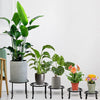 5 Pack Plant Stand Heavy Duty Outdoor Indoor Flower Pots Holder Metal 5 Sizes AU