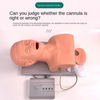 PVC Intubation Manikin adult Study Teaching Model Airway Management Trainer