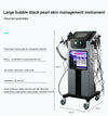 10 in 1 Hydro Dermabrasion Machine Hydrogen Oxygen Skin Care Small Bubble Device