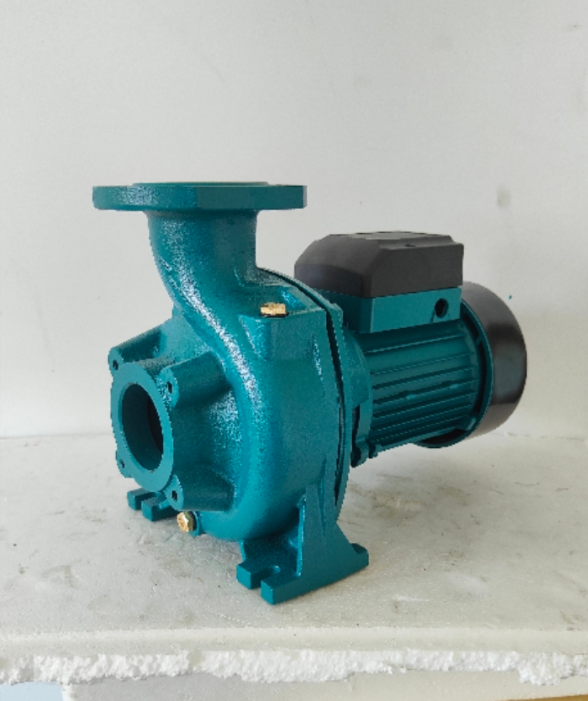 220V Centrifugal Water Transfer Pump Large Flow Max 900 L/min 1.1HP Max Head 12m