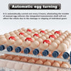 128 Eggs Digital Egg Incubator Dual Electrical Design Automatic Turning Eggs AU