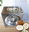 Coconut Meat Scraper Machine Stainless Steel Electric Coconut Processing Machine