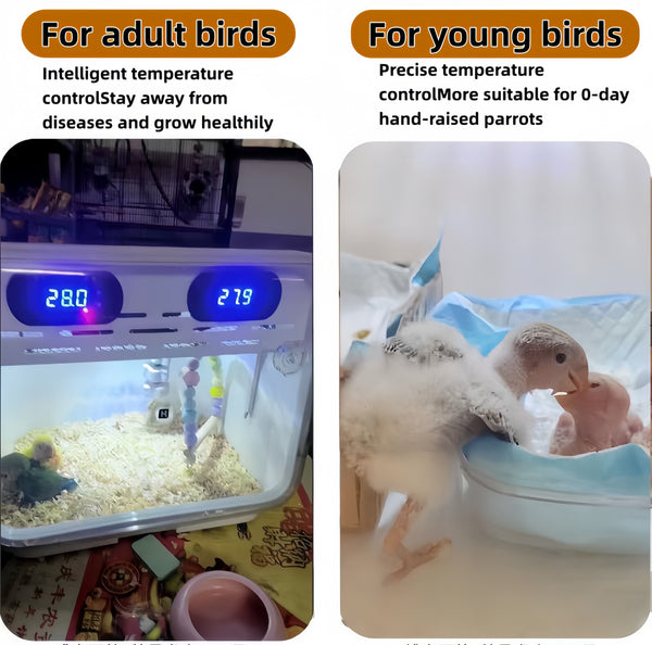 Intelligent Puppy Incubator Pet Brooder for Puppies Kittens Birds Small Mammals