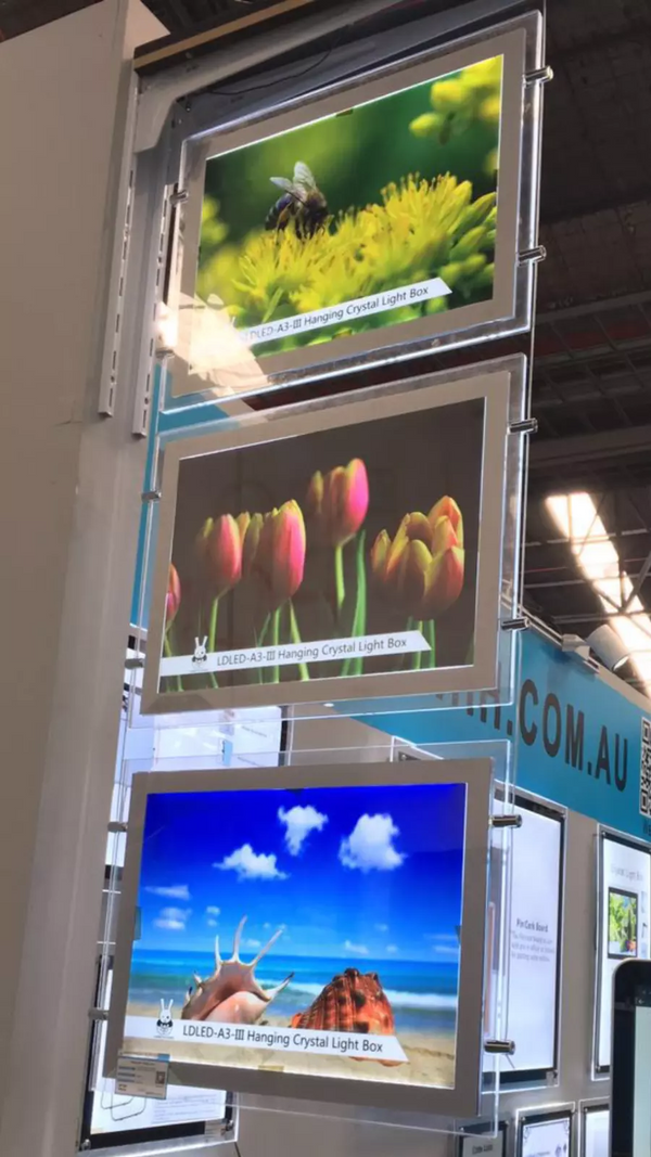 100/200/300pcs A3 Backlit Paper Back Light Film For Real Estate Window Display