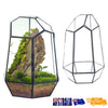 Glass Geometric Plant Terrarium Succulent & Air Planter Indoor Tabletop Decor