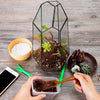 Glass Geometric Plant Terrarium Succulent & Air Planter Indoor Tabletop Decor