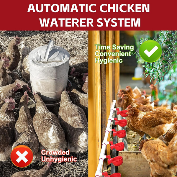 Auto Chicken Waterer System Chick Duck Watering Feeder PVC Pipelines 8 Cups AU