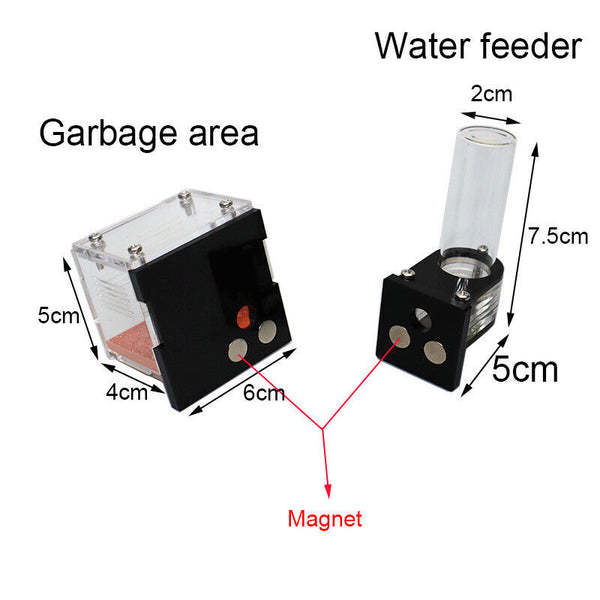 Ant Farm with External Water Tower and Garbage Area Soil Queen Breeding Area AU