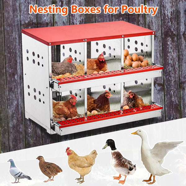 6 Hole Chicken Hen Coop Hutch Inside Outside Roll Away Lay Egg Nesting Box Metal