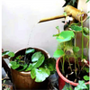 Bamboo Water Flow Ornaments Courtyard Water Circulation Bamboo Water Flow Device