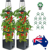 2 Packs Raised Garden Bed Tomato Planter Tomato Cages Climbing Vegetables Plant